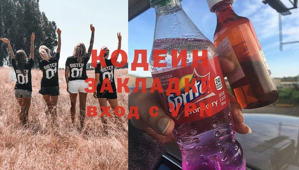прущие грибы Жердевка